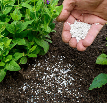 Fertilizer