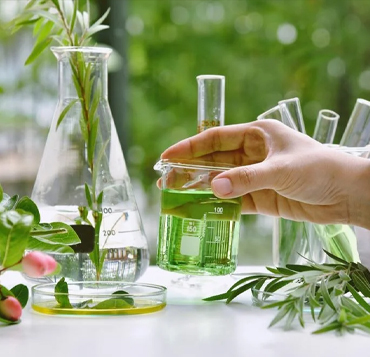 Plant Derivative from Natural Resources