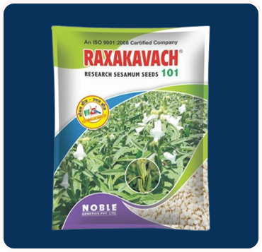 Raxakavach 101