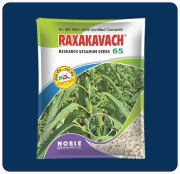Raxakavach 65