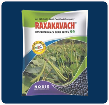 Raxakavach 99