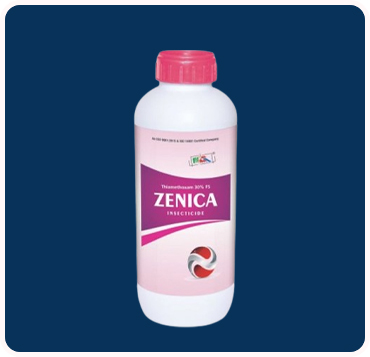 Zenica