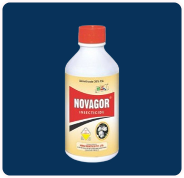 Novagor