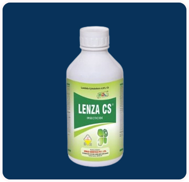 Lenza CS