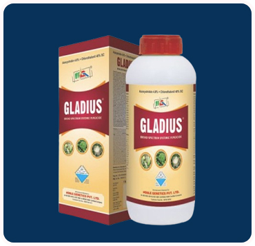 Gladiys