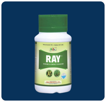Ray