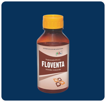 Floventa