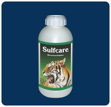 Sulfcare