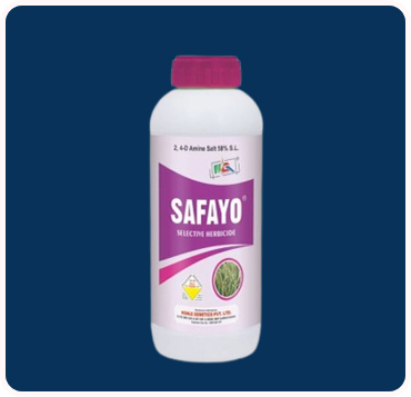 Safayo