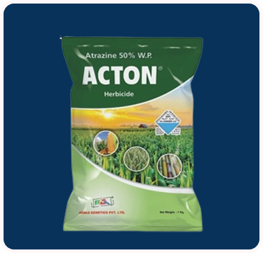 Acton