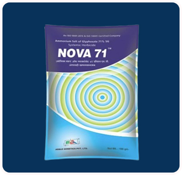 Nova 71
