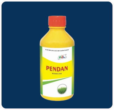 Pendan