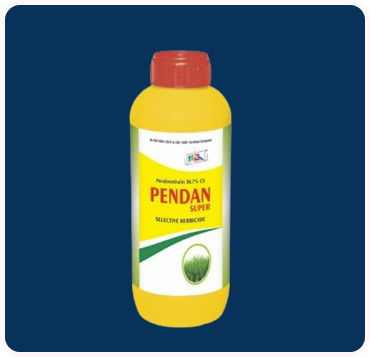 Pendan Plus
