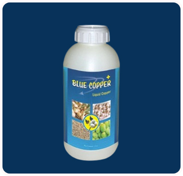Blue Copper +