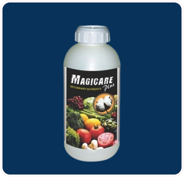 Magicare Plus