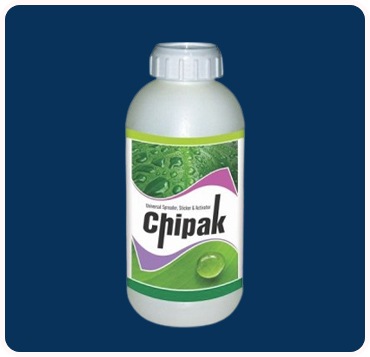 Chipak