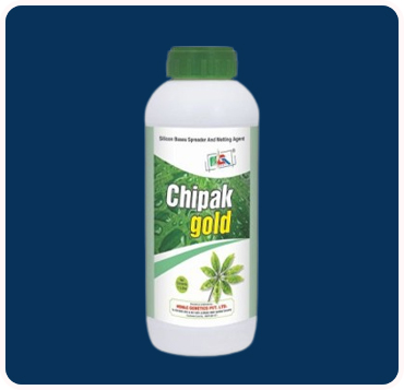 Chipak Gold