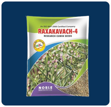 Raxakavach 4
