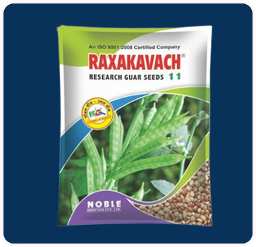Raxakavach 11