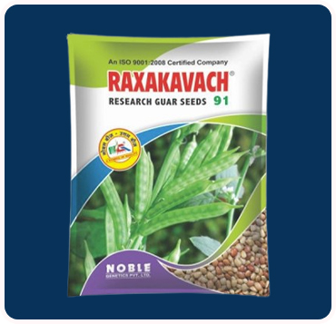 Raxakavach 91