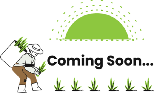 coming-soon
